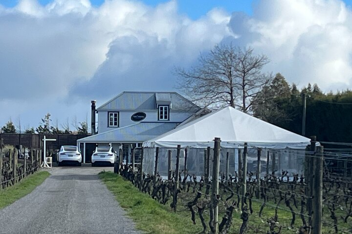 Martinborough Private Food and Wine Tour in Tesla SUV - Photo 1 of 25